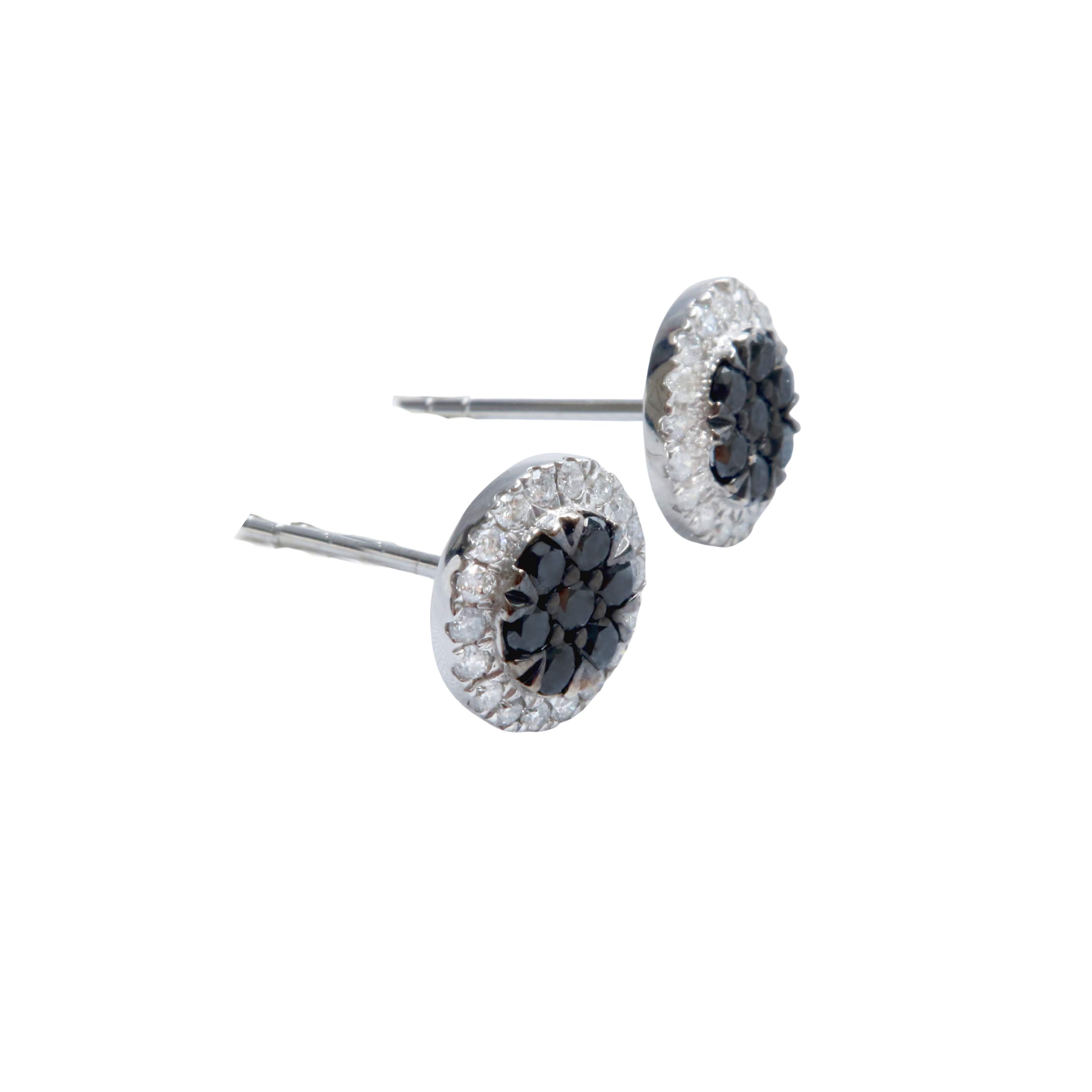 Aros de Platino Brillantes y Brillantes Negros.